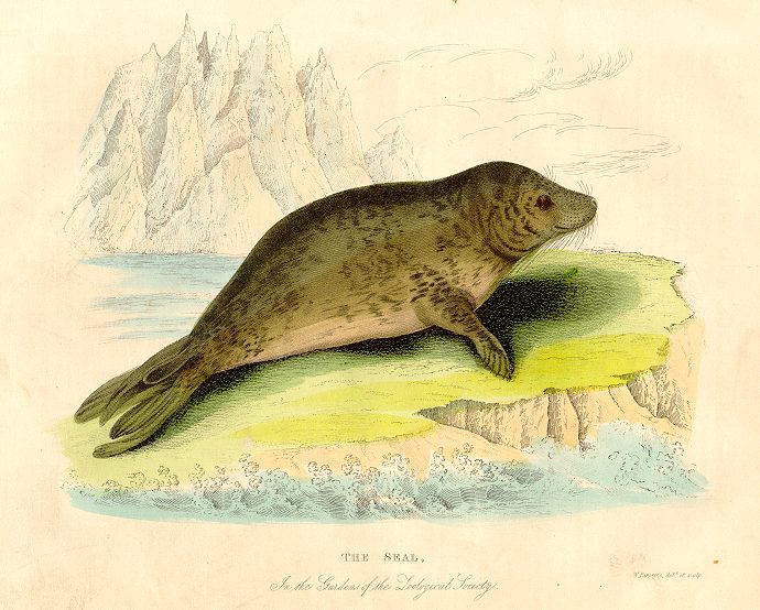 Seal, Kelly, London, c1830