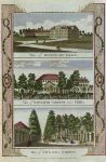 London, Kensington Palace, Ranelaugh &  Vauxhall Gardens, 1784