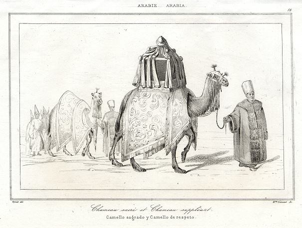 Arabia, Camels, 1847