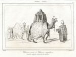 Arabia, Camels, 1847