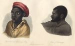 New Hebrides Natives, 1855