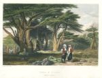 Lebanon, Cedars of Solomon, 1846