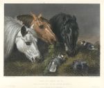 The Scanty Meal (horses), 1850