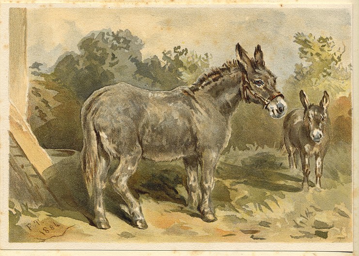 Donkey & Foal, 1884