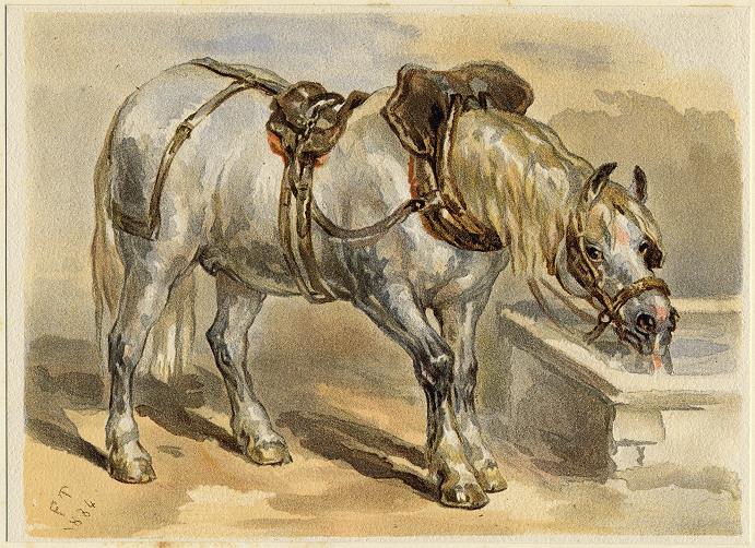 Grey Carthorse, 1884