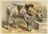 Grey Carthorse, 1884