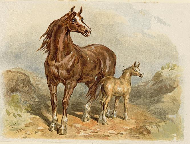 Chestnut Mare & Foal, 1884