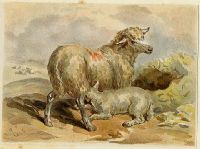 Sheep & Lamb, 1884