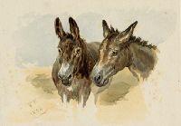 Donkeys heads, 1884