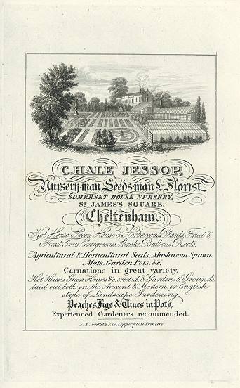 Cheltenham, Trade Advert, Hale Jessop, nurseryman, 1826