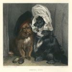 Comical Dogs (Scottish Terriers), after Landseer, published 1880