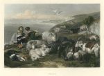 Peace (with sheep and goats), after Landseer, published 1880