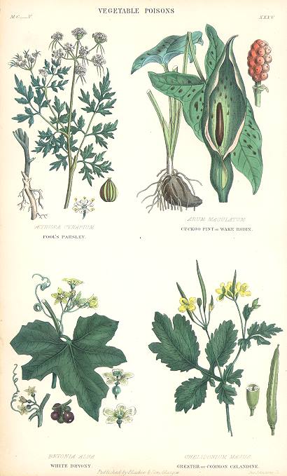 Vegetable Poisons, 1866