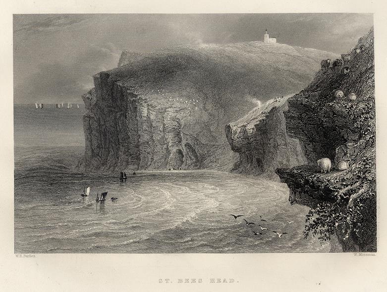 Cumberland, St. Bees Head, 1842