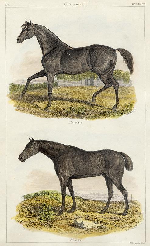 Race Horses, 1849