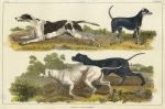 Dogs, 1849