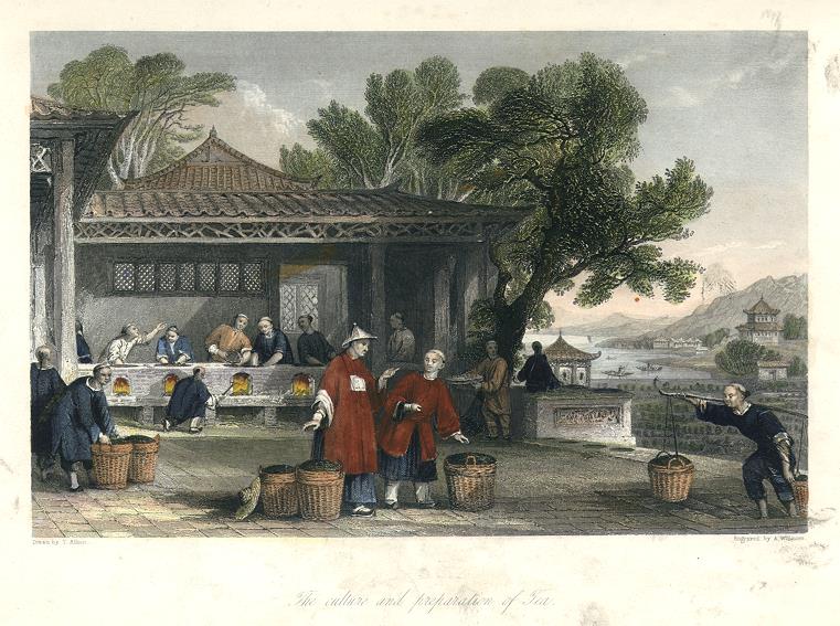 China, Preparation of Tea, 1843