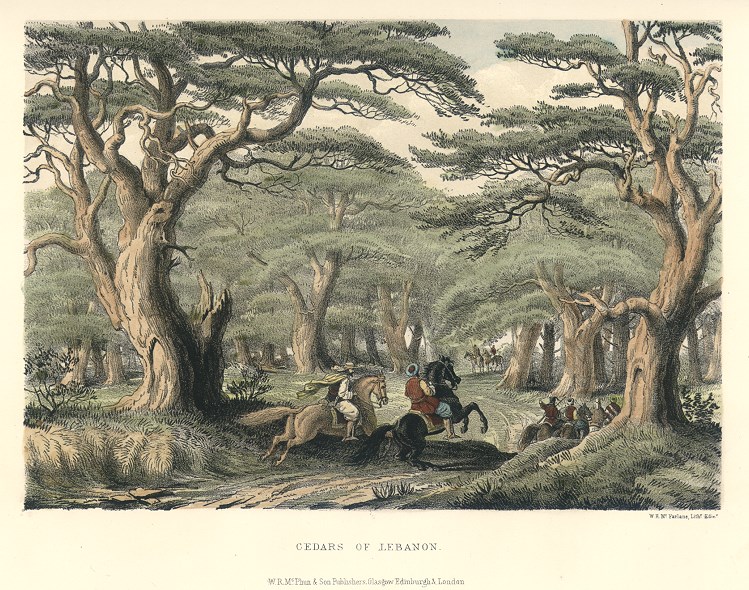 Lebanon, Cedars of Lebanon, 1875