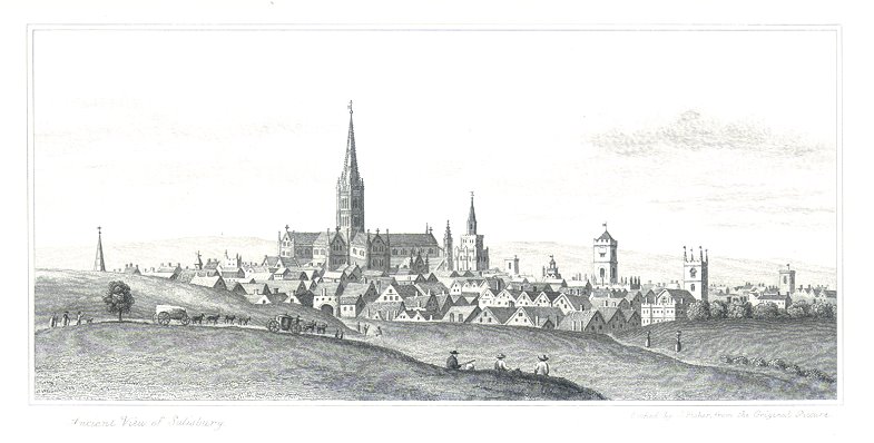 Wiltshire, Ancient view of Salisbury, 1834