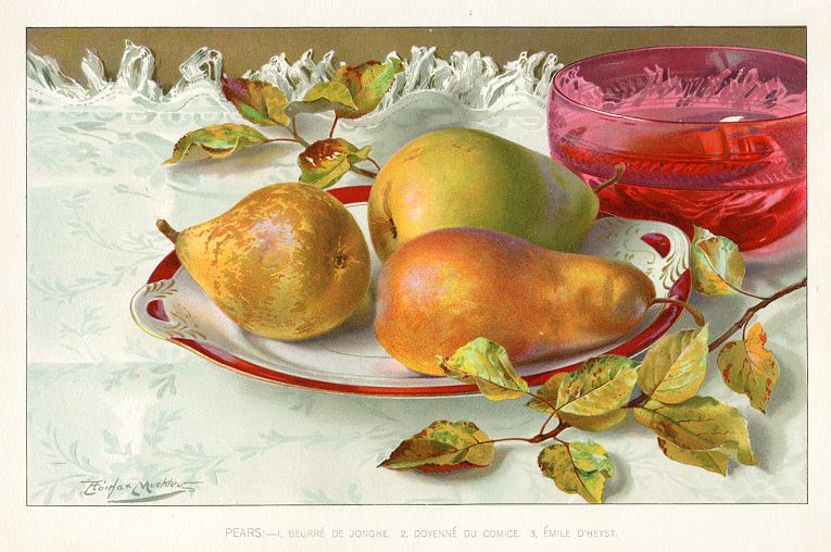 Pears, 1900