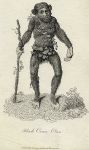 Black Orangutan print, 1801