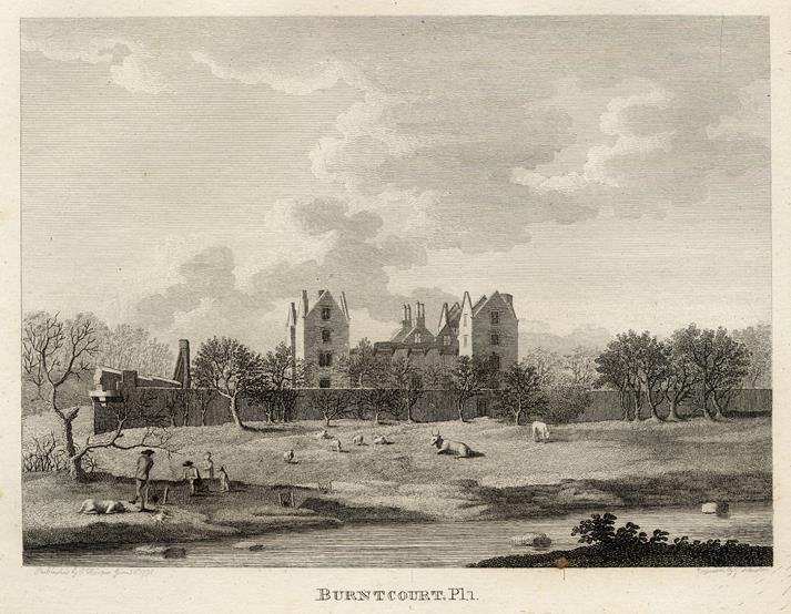 Ireland, Co. Tipperary, Burnt Court, 1786