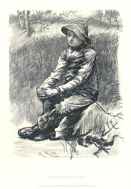 The Farmer's Lad, 1882