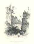 Derbyshire, View into Shirbrook Dell, 1820 / 1886