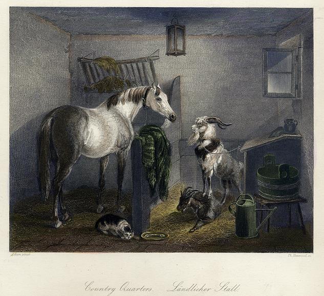 Country Quarters (with horse, cat and goats), 1849