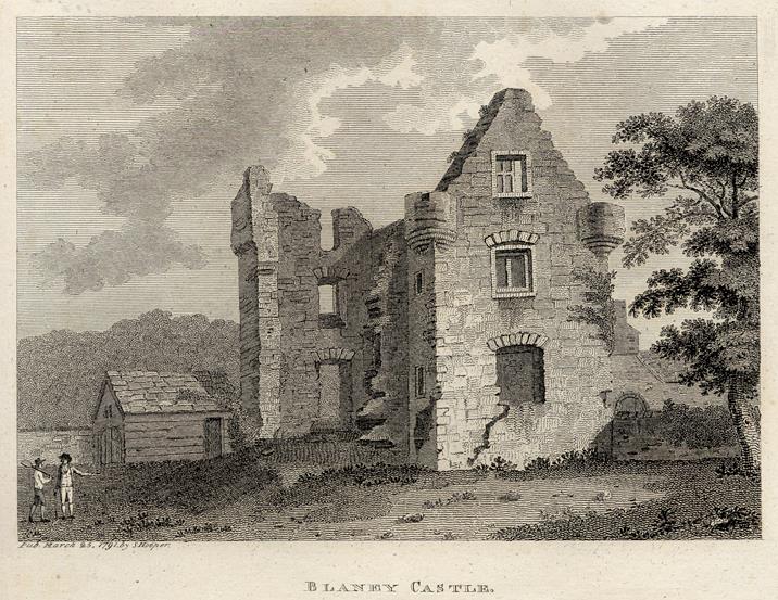 Ireland, Co.Cork, Blaney Castle, 1786