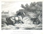 Horse and Wild Boar, Howitt, 1810