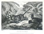 Fox and the Tiger, Howitt, 1810