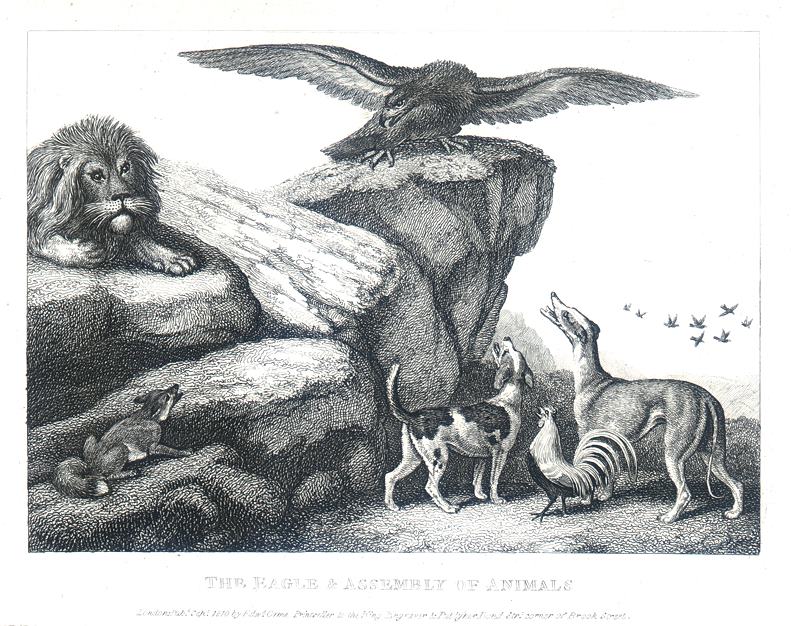 Eagle and the Assembly of Animals, Howitt, 1810