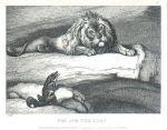 Fox and the Lion, Howitt, 1810