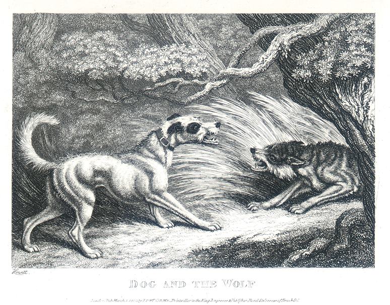 Dog and the Wolf, Howitt, 1810