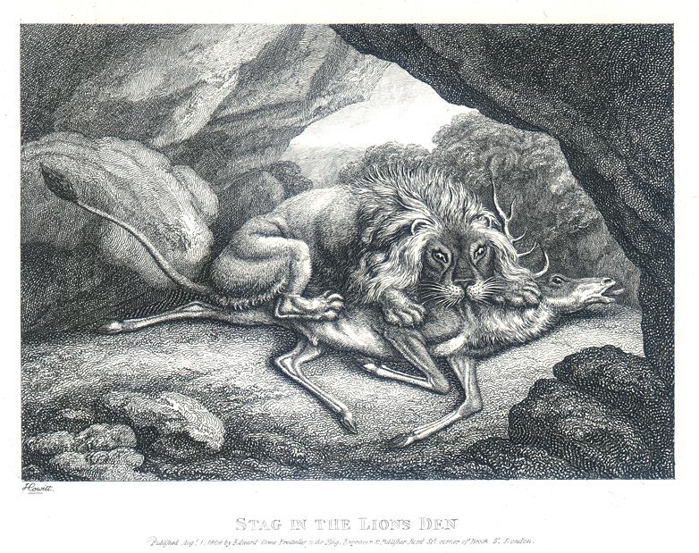 Stag in the Lions Den, Howitt, 1810