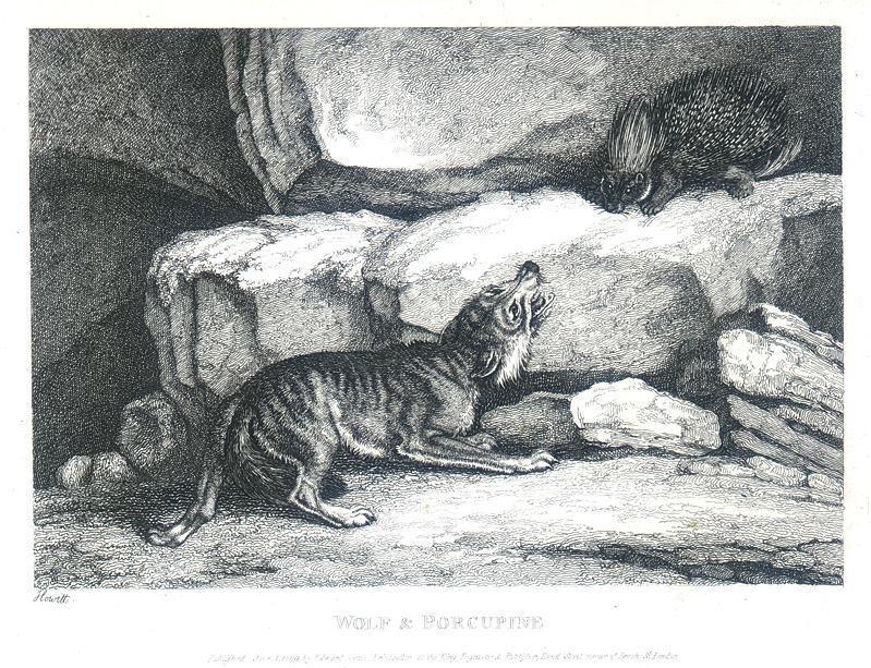 Wolf & Porcupine, Howitt, 1810