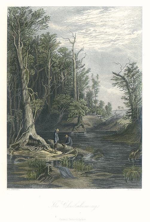 USA, Virginia, The Chickahominy, 1875