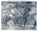 Trinidad, View at Saint James, Port of Spain, 1880