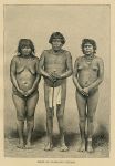 Venezuela, Guaraunos Indians, 1880