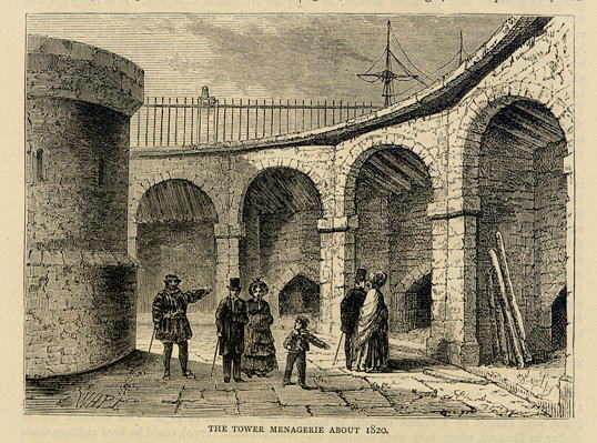 Tower of London, Menagerie in about 1820, 1878