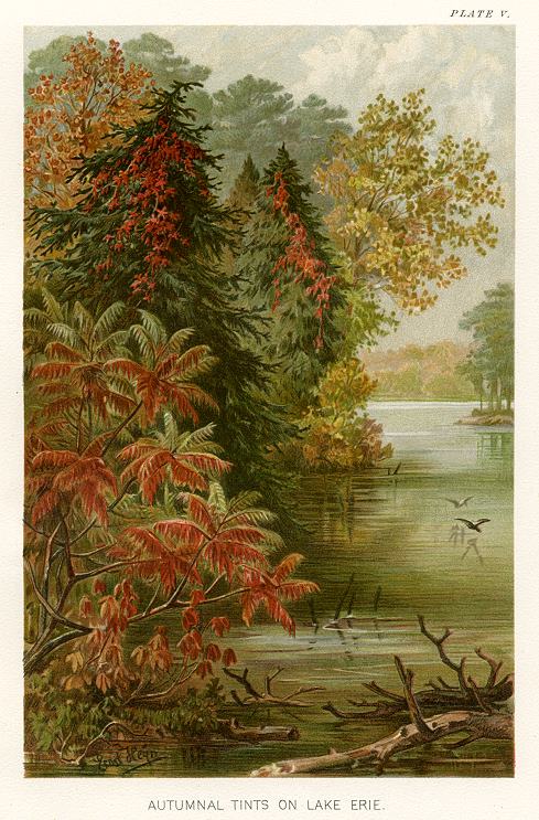 Autumnal Tints on Lake Erie (in fall), 1896