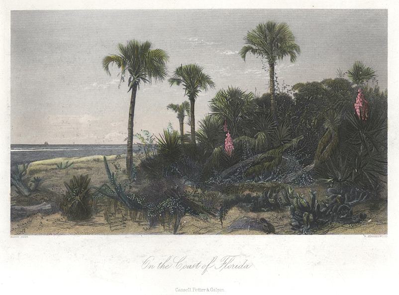 USA, Coast of Florida, 1875