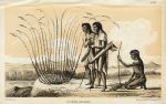 USA, Cosnina Indians, 1853