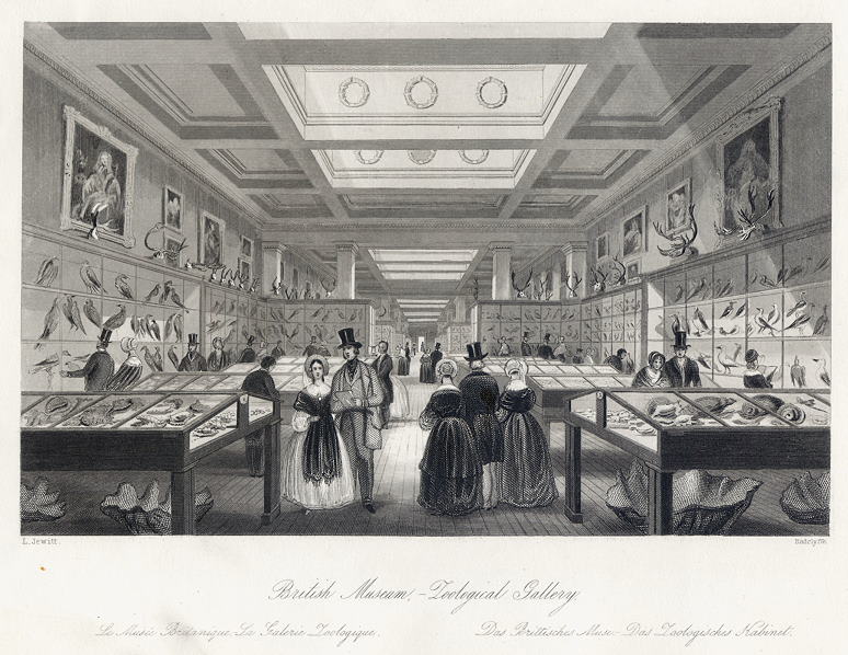 London, British Museum, Zoological Gallery, 1845