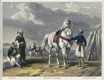 Arabia, The Pride of the Desert, 1854