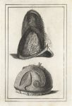 Venetian & Roman Helmets, Military Antiquities, 1801