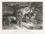 The Ass and the Lion Hunting, Howitt, 1810