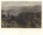 Lebanon cedars, 1838