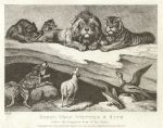 Sheep, Wolf, Vulture & Kite, with Lion & Tiger, by Howitt, 1810